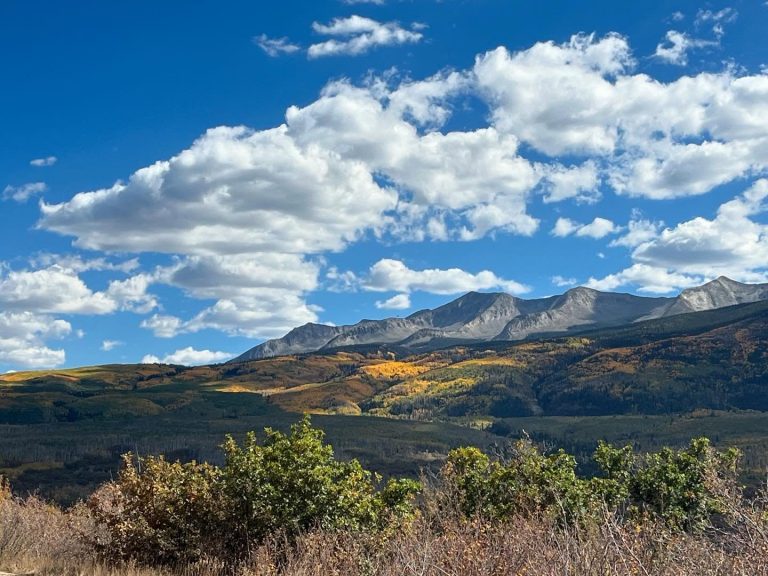 homes for sale montrose co