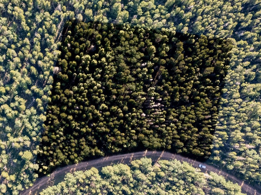 Lot View | Colorado Mountain Property for Sale