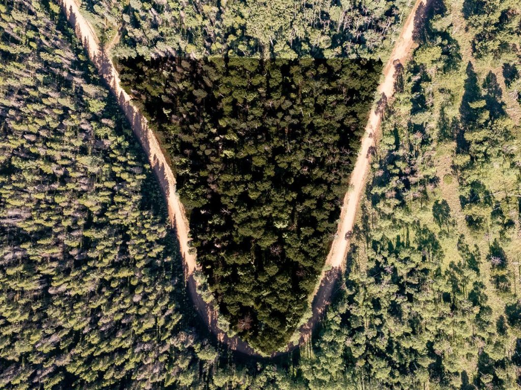 Lot View | Colorado Mountain Property for Sale