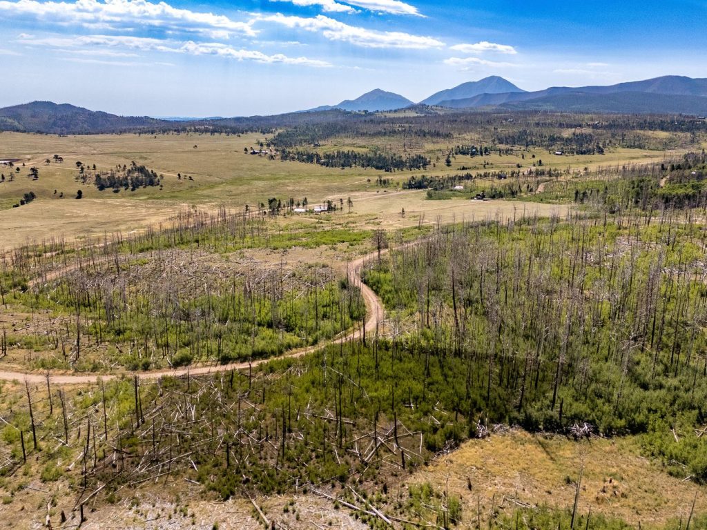 Lot View | Colorado Mountain Property for Sale