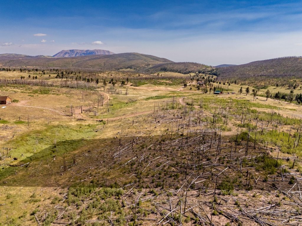 Lot View | Colorado Mountain Property for Sale