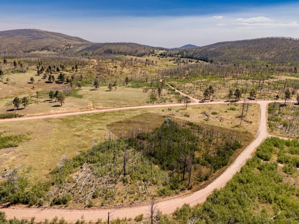 Lot View | Colorado Mountain Property for Sale
