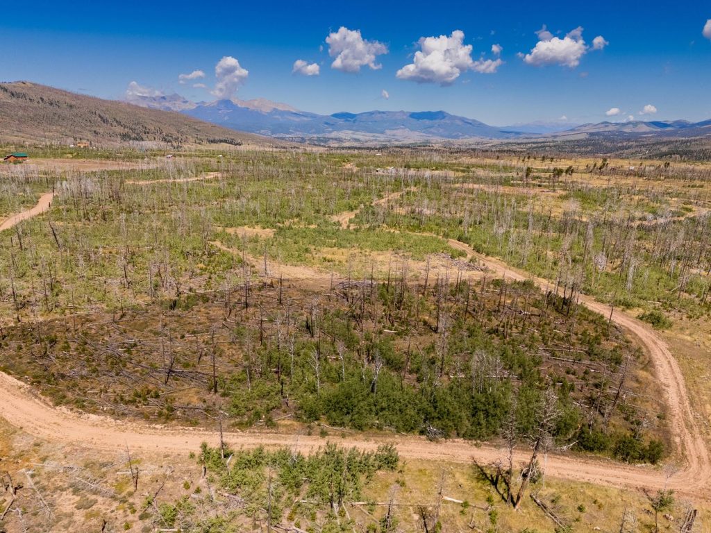 Lot View | Colorado Mountain Property for Sale