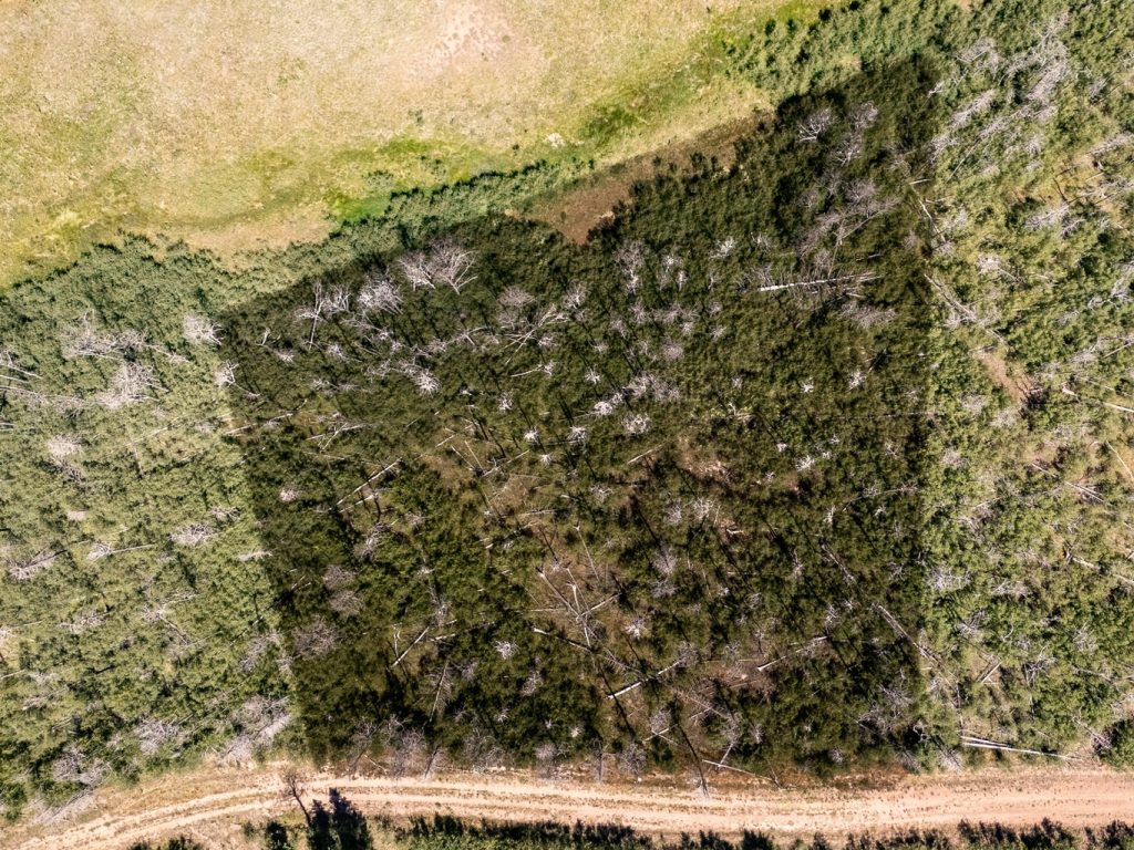 Lot View | Colorado Mountain Property for Sale
