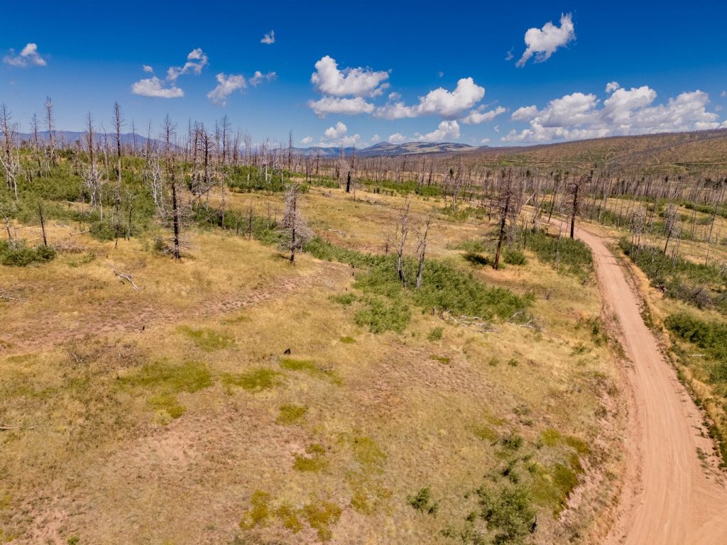 Aerial View | Colorado Mountain Property for Sale