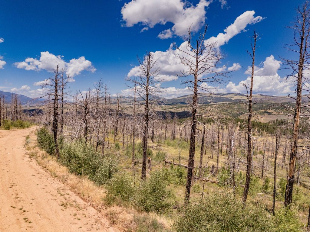 Property View | Colorado Mountain Property for Sale