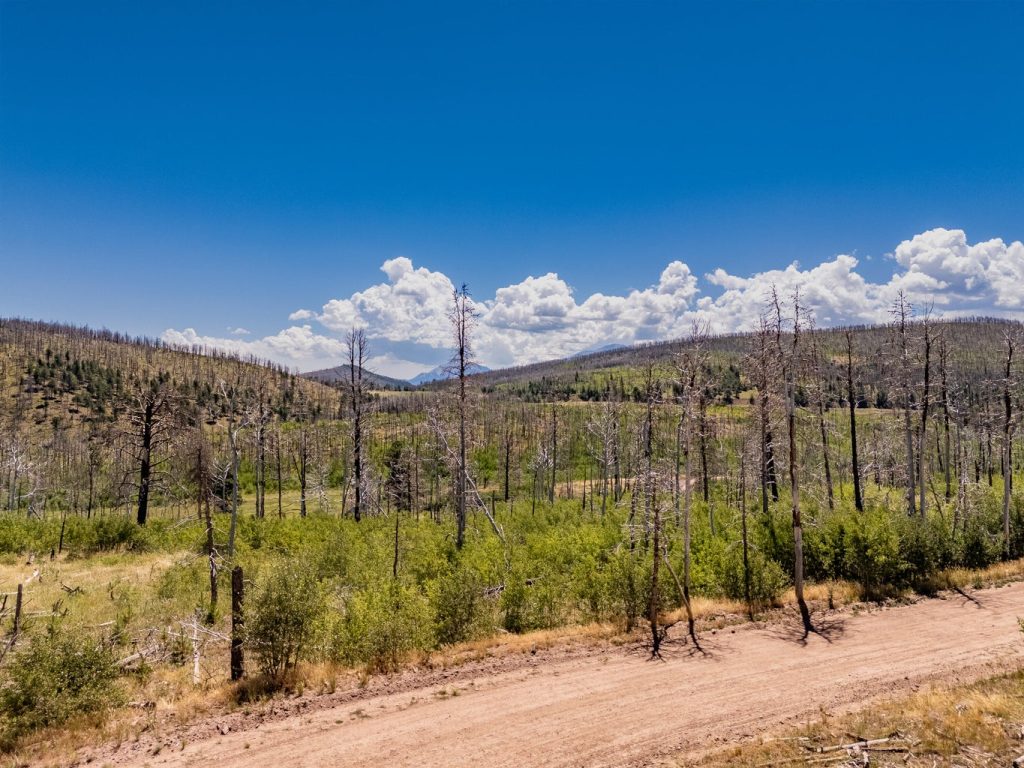 Property View | Colorado Mountain Property for Sale