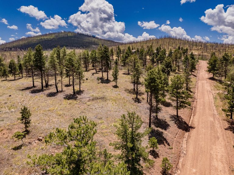 Land | Colorado Mountain Homes for Sale