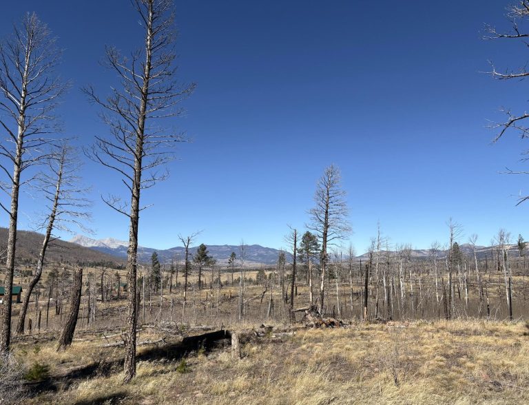 Ground View | Colorado Mountain Property for Sale