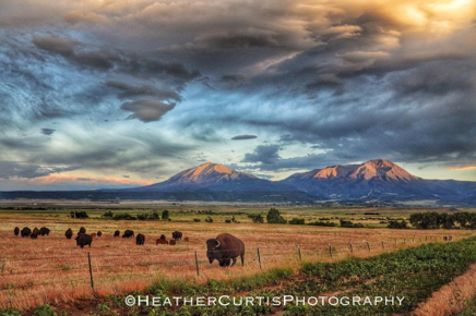 homes for sale in walsenburg colorado, walsenburg real estate, homes for sale in walsenburg